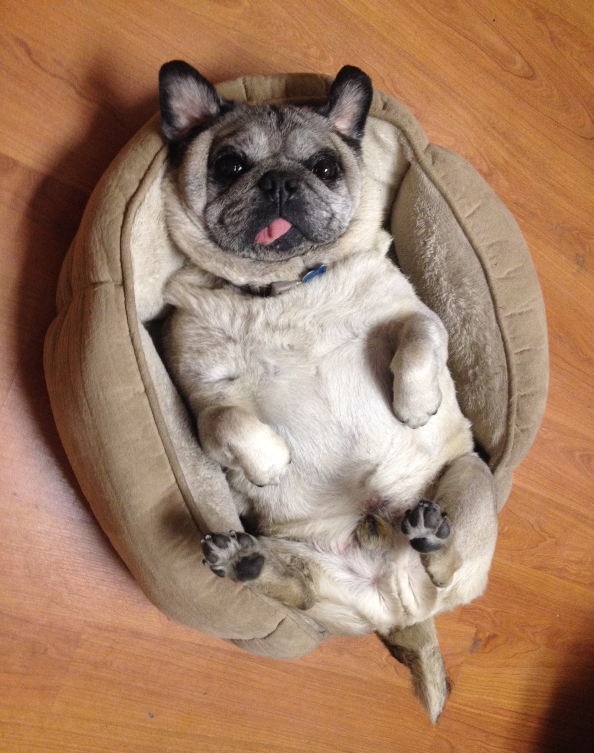 Lijepo je kad dan možeš provesti sa "sve 4 u zraku"