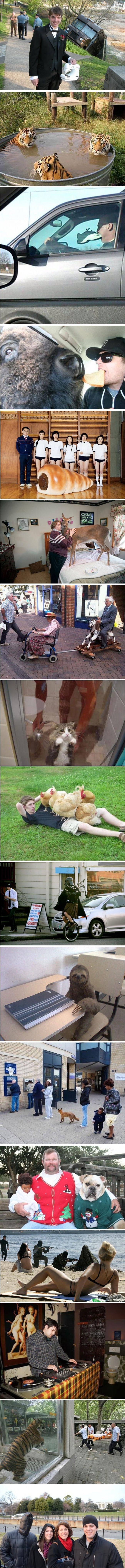 Smiješne i čudne fotografije čiji sadržaj nikome nije jasan 