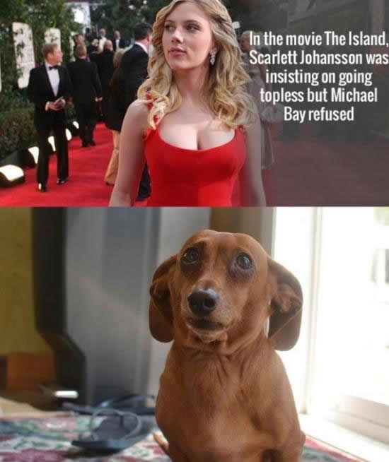 Zašto žarko mrzimo Michaela Baya!