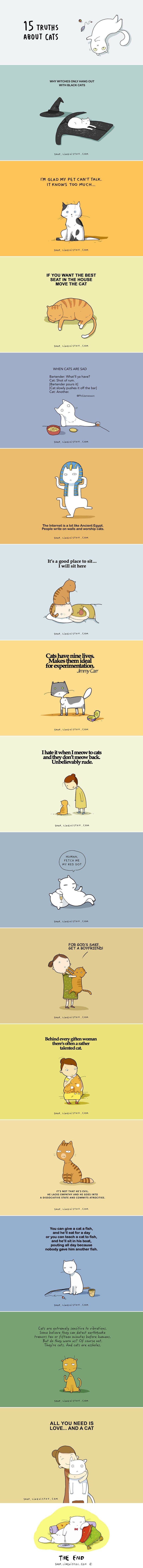 GALERIJA: Top 15 velikih istina o mačkama