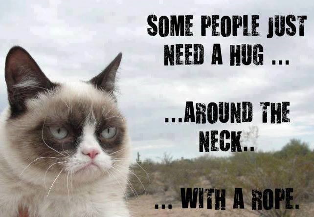 Mrzovoljni mačak spreman na drastične mjere