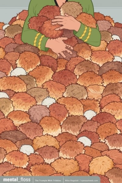 Mozgalica: Možete li pronaći frizuru Donalda Trumpa?