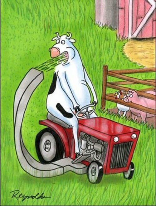 Uživati u poslu koji radiš