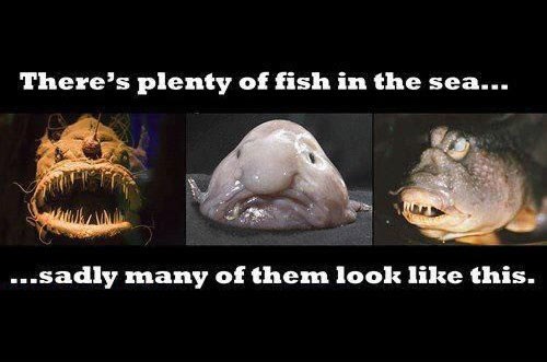 Prebolit će je, stari, još je puno riba u moru...