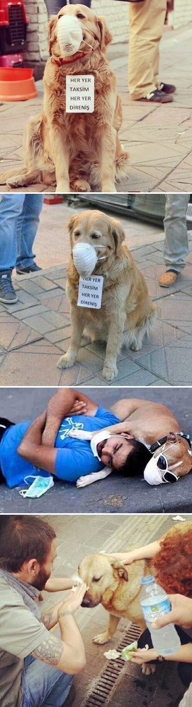 "Opaki" psi "prosvjednici" zaslužili suzavac?