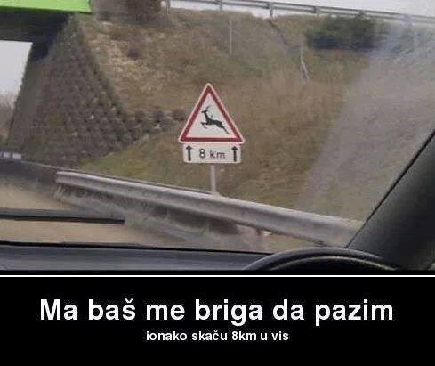 Pazi jelen! Gdje, u orbiti?