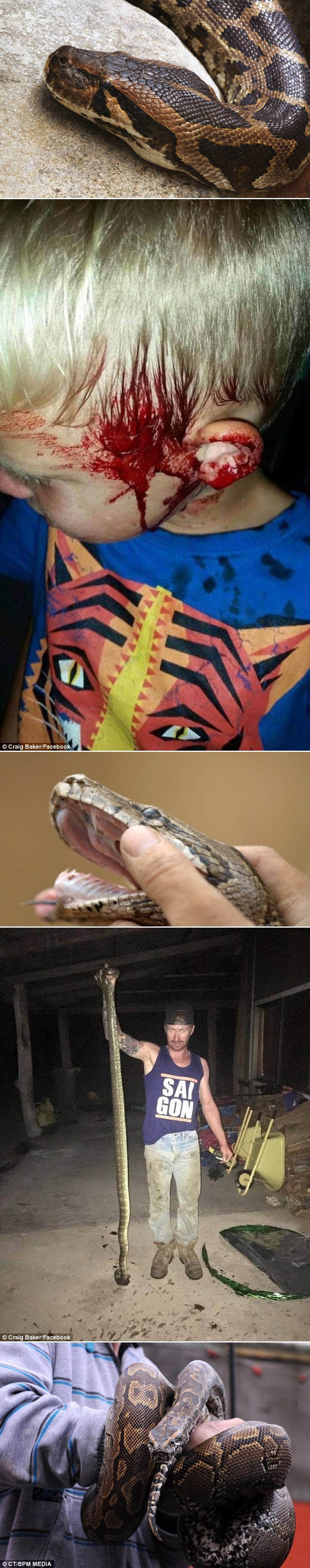 PITON DJETETU JEO GLAVU, majka se bacila u borbu golim rukama!