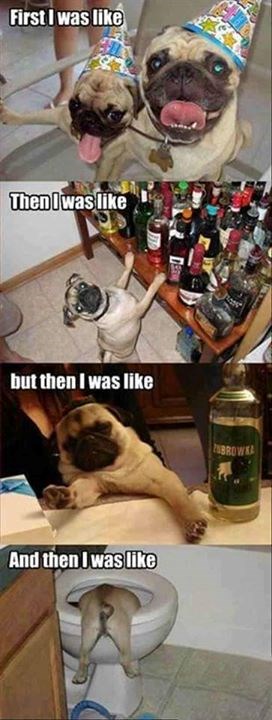 Tipična novogodišnja noć