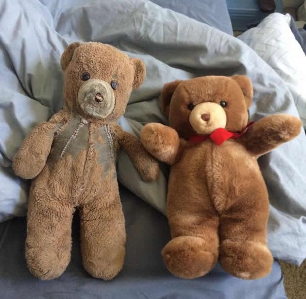 Majka sinu 30 godina čuvala medvjedića za prvo dijete