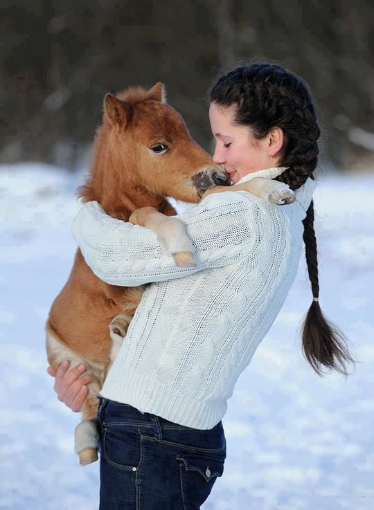 Djevojčica odlučila brinuti za patuljastog konjića