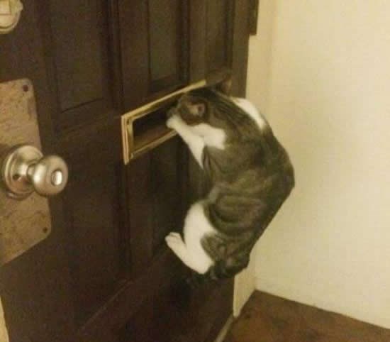 Dobro, gdje je taj čovjek, pa nisam jela već dva sata!