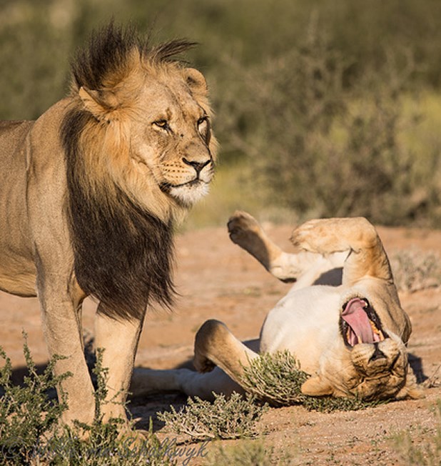 Kad djevojka vani nije impresionirana tvojim uletom