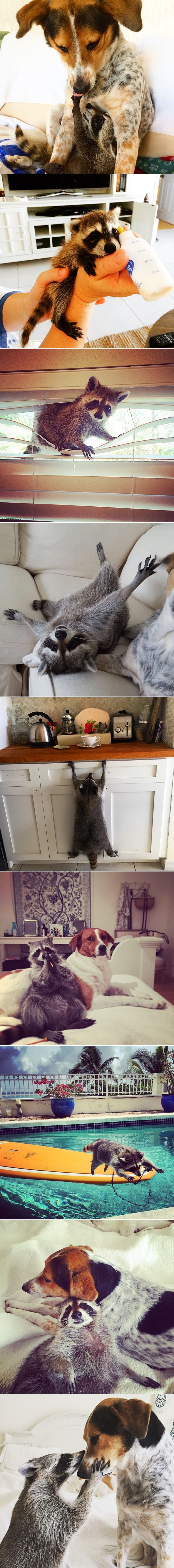 GALERIJA: Ljubav ne poznaje granice