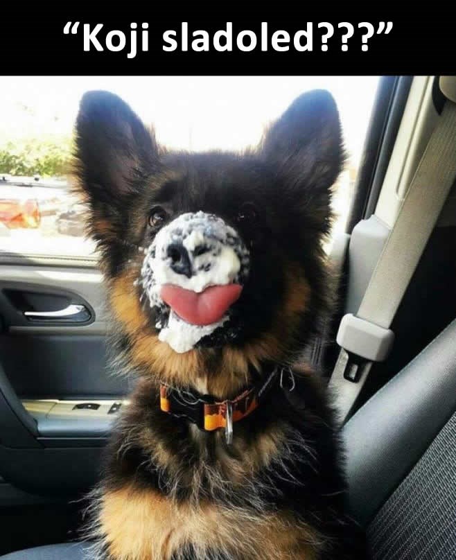 Kad si još mali i ne znaš lagati