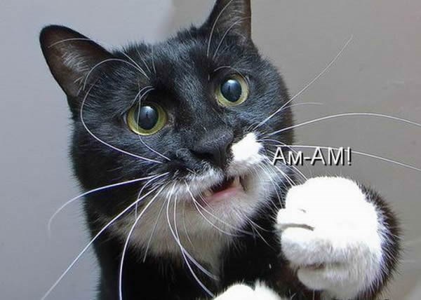 I sad joj ti ne daj jesti, pa srce bi ti puklo!