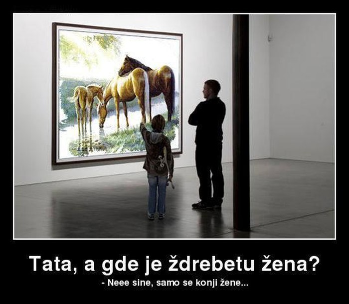 Zašto ždrijebe nema ženu?