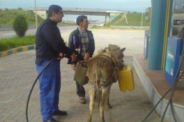 Gazio si gas, pa sad tankaj magarca!