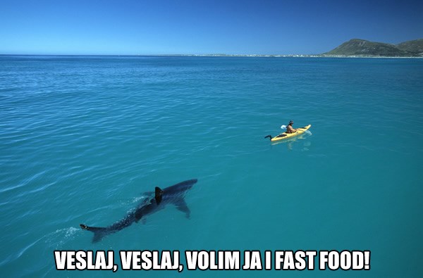 Kad vidiš peraju u vodi