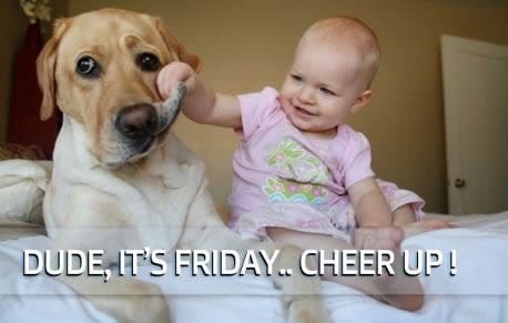 Pas se ne veseli vikendu - beba inzistira