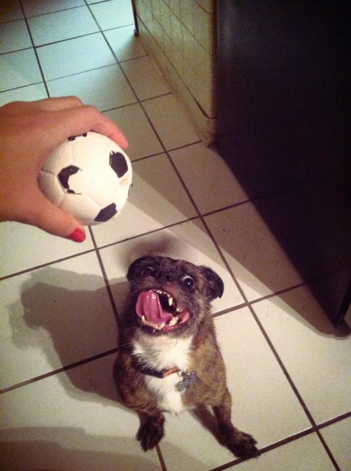 Oličenje čiste sreće: Loptica kao Sveti Gral