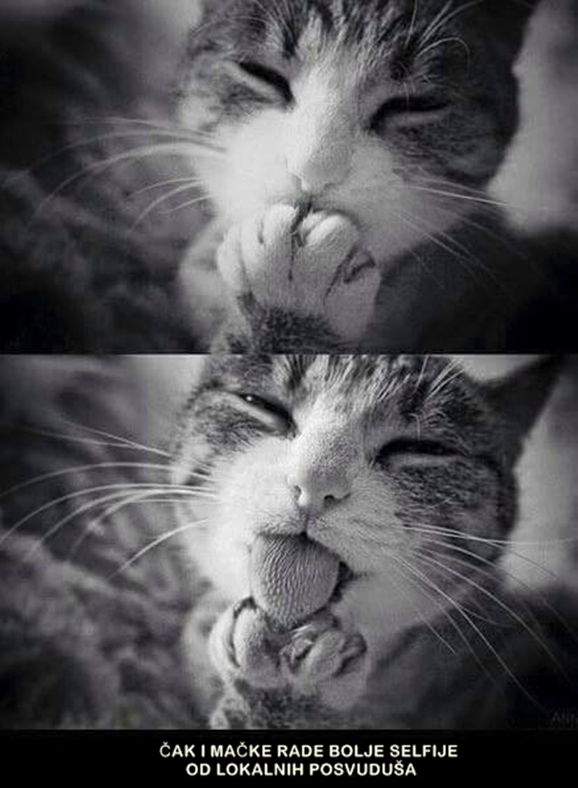 Kraljice selfija od sada drže instrukcije