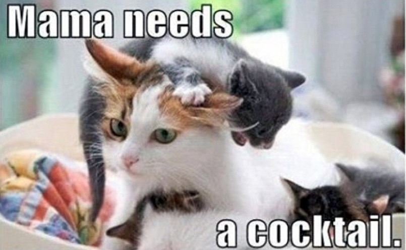 Drage majke suosjećamo s vama