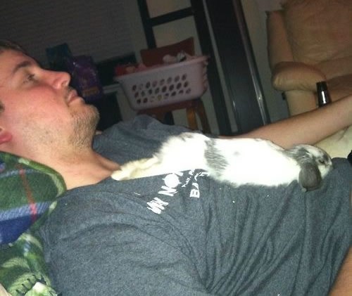 Zecovima je najbolje