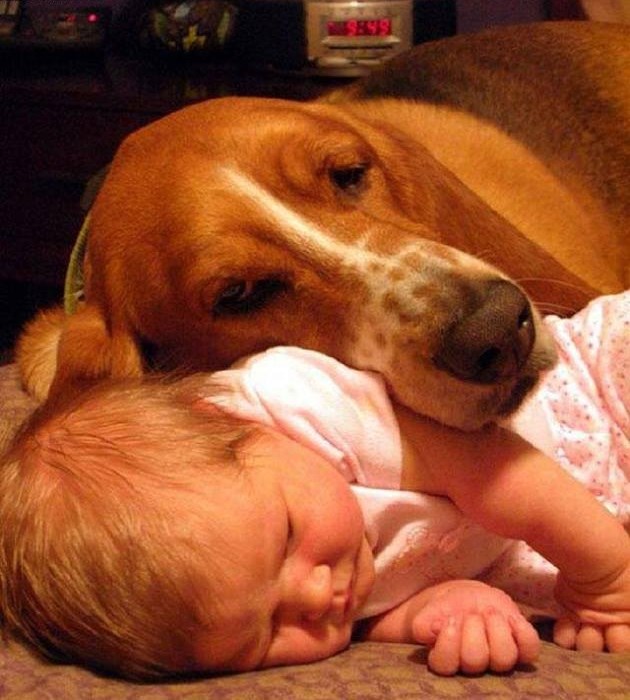 Dobila je najboljeg prijatelja, čuvara i dadilju u jednom ;)