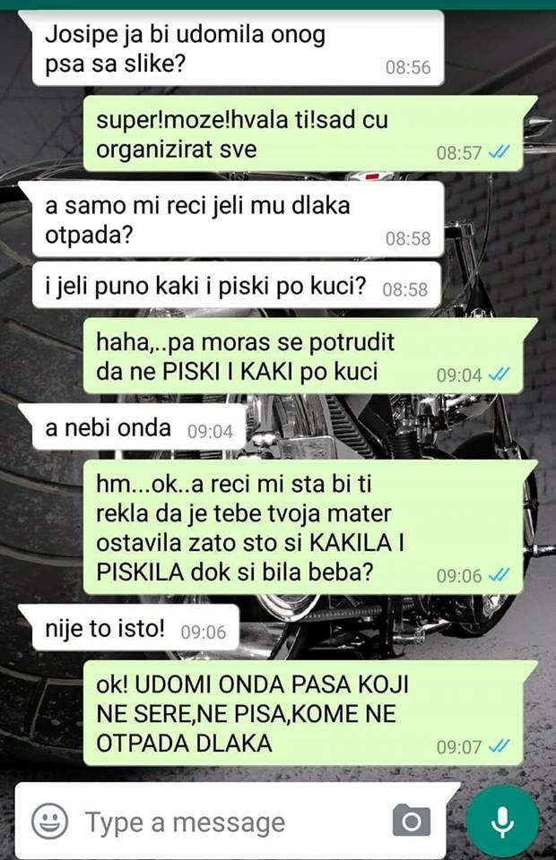 Njoj treba plišana igračka, a ne pravi pas: Pogledajte zbog čega je žena odustala od udomljavanja!