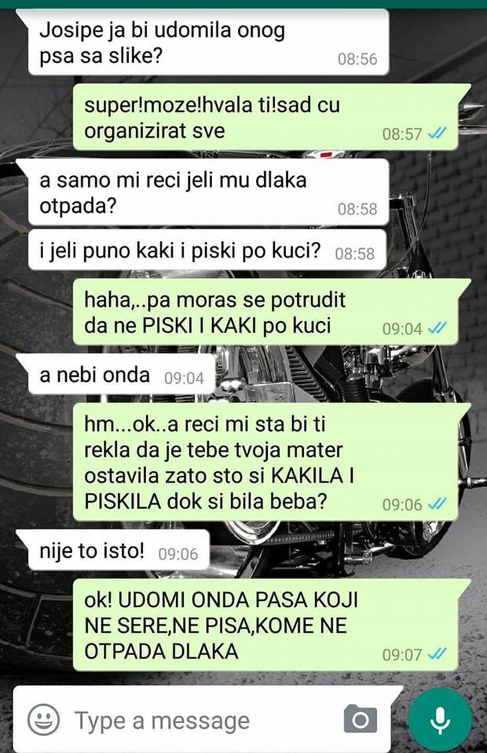 Njoj treba plišana igračka, a ne pravi pas: Pogledajte zbog čega je žena odustala od udomljavanja!