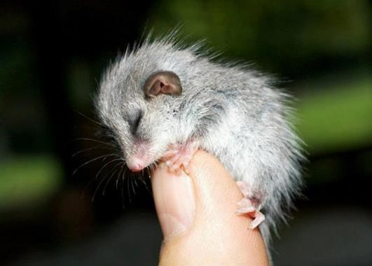 Najveći se prepoznaju po odnosu prema najmanjima