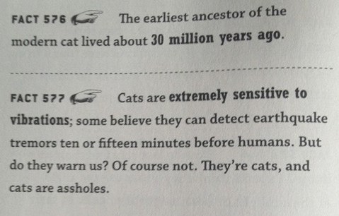 Mačke predosjećaju potrese - ali im se jebe za ljude