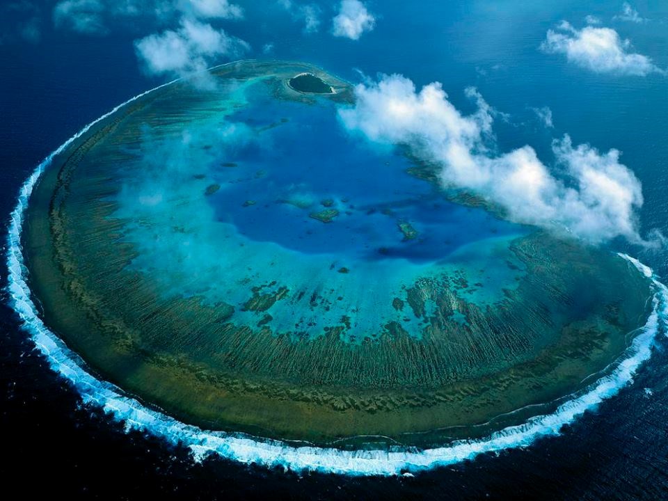 Što je sve u stanju stvoriti čudesna priroda...