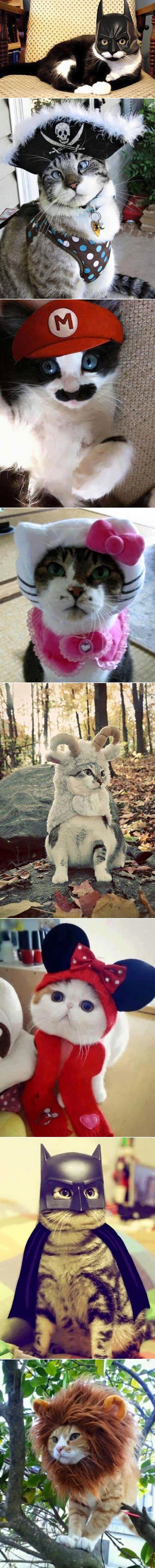 GALERIJA: Sto lica smiješnih mica