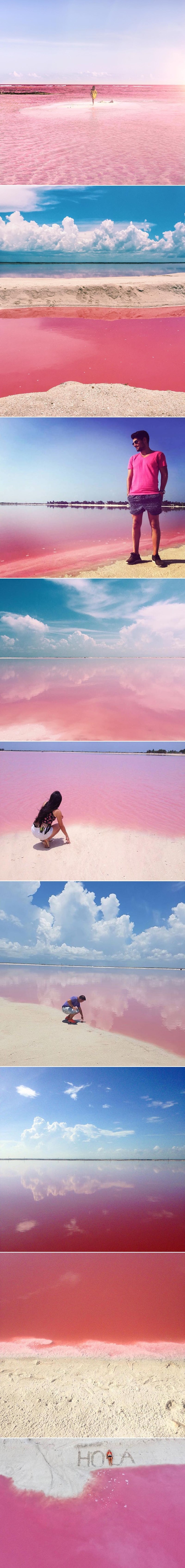 Ova prelijepa ružičasta laguna je potpuno prirodna, a boju joj daju - životinje!