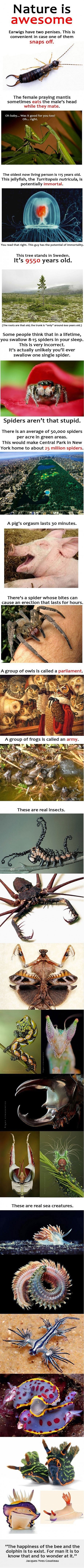 Neobične i pomalo jezive stvari o prirodi koje niste znali