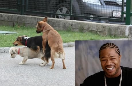 Pseći sendvič: Vesela, napaljena trojka složila grupnjak