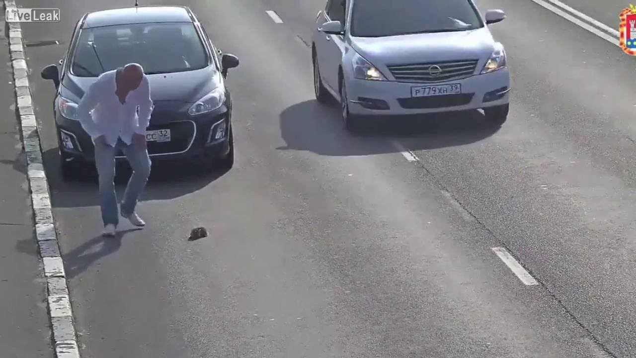 VIDEO: Maca je ostala ležati na cesti, a onda se pojavio ovaj muškarac