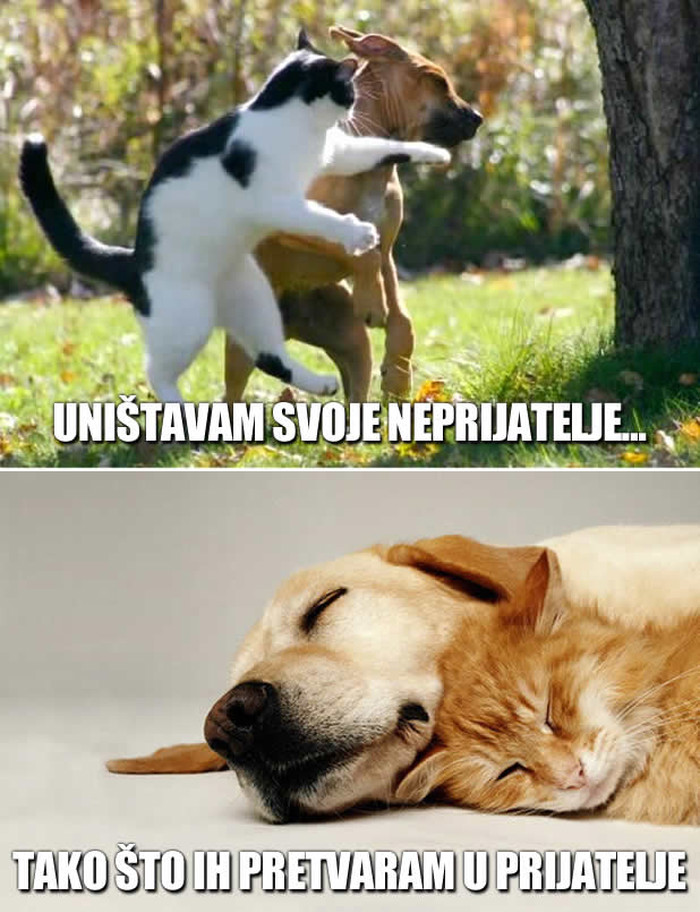 Kako uništiti svoje neprijatelje?