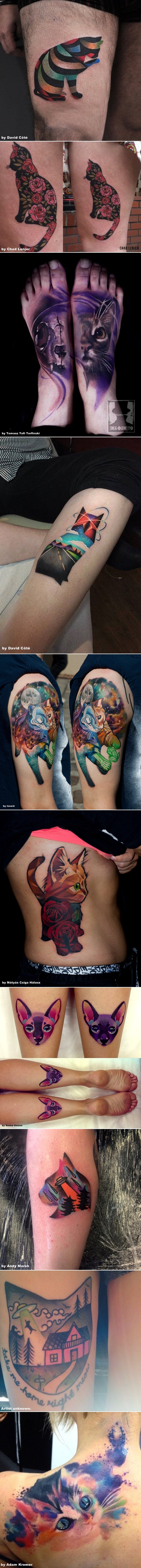 GALERIJA: Malo drugačija vizija mačaka