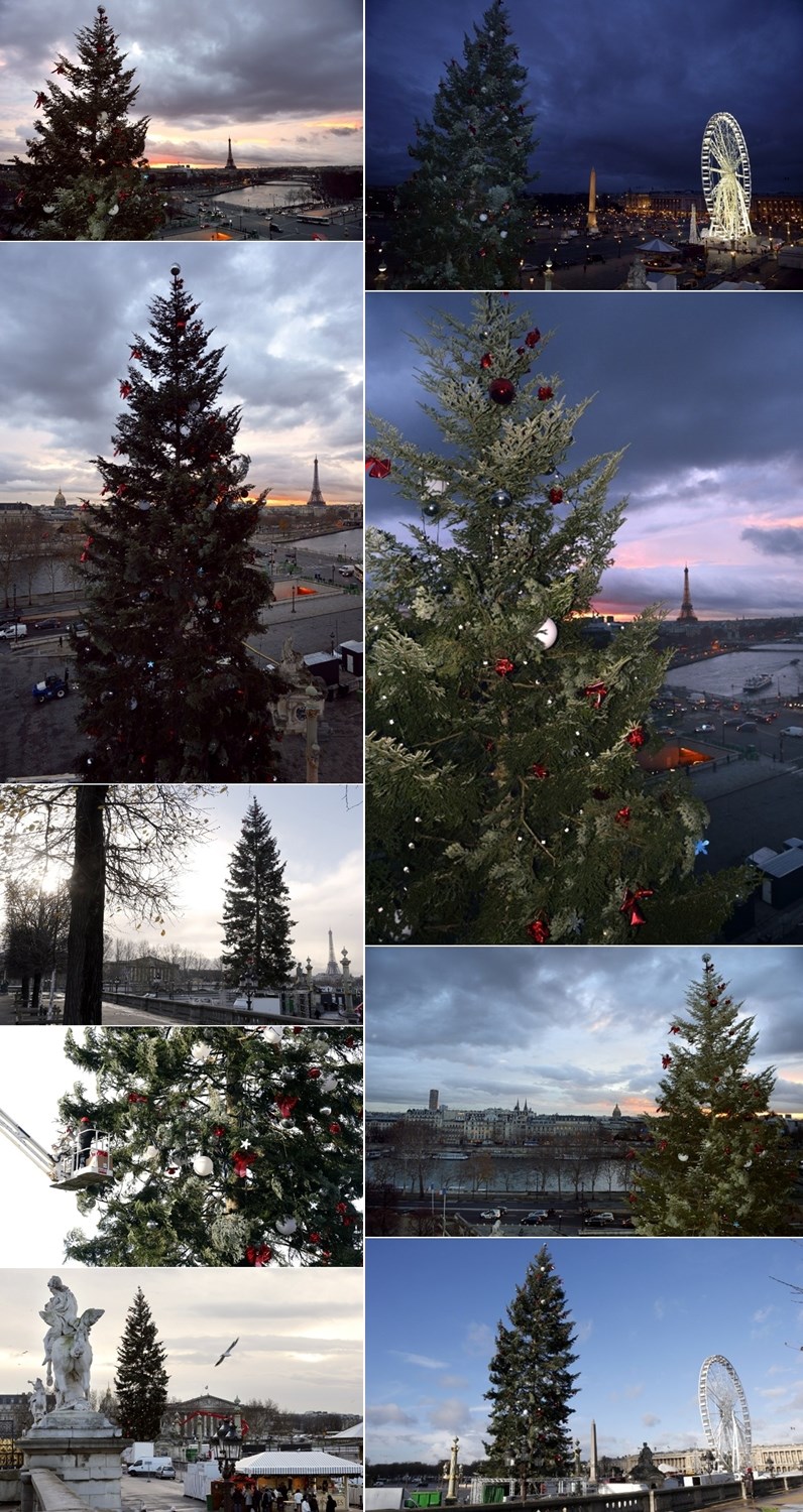 I Pariz dobio ogromno božićno drvce