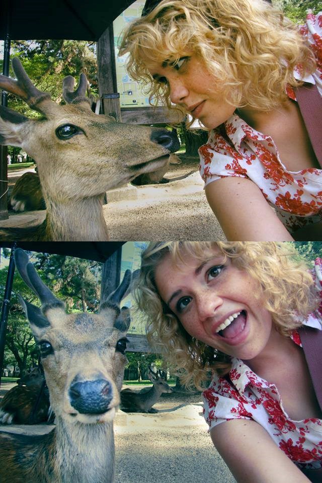 Jelenko, hoćemo jednu profilnu za Fejs?