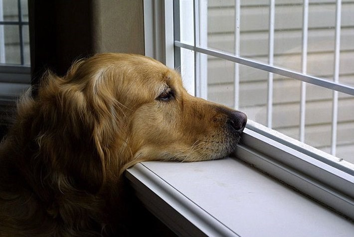 Tik..tak..tik..tak..