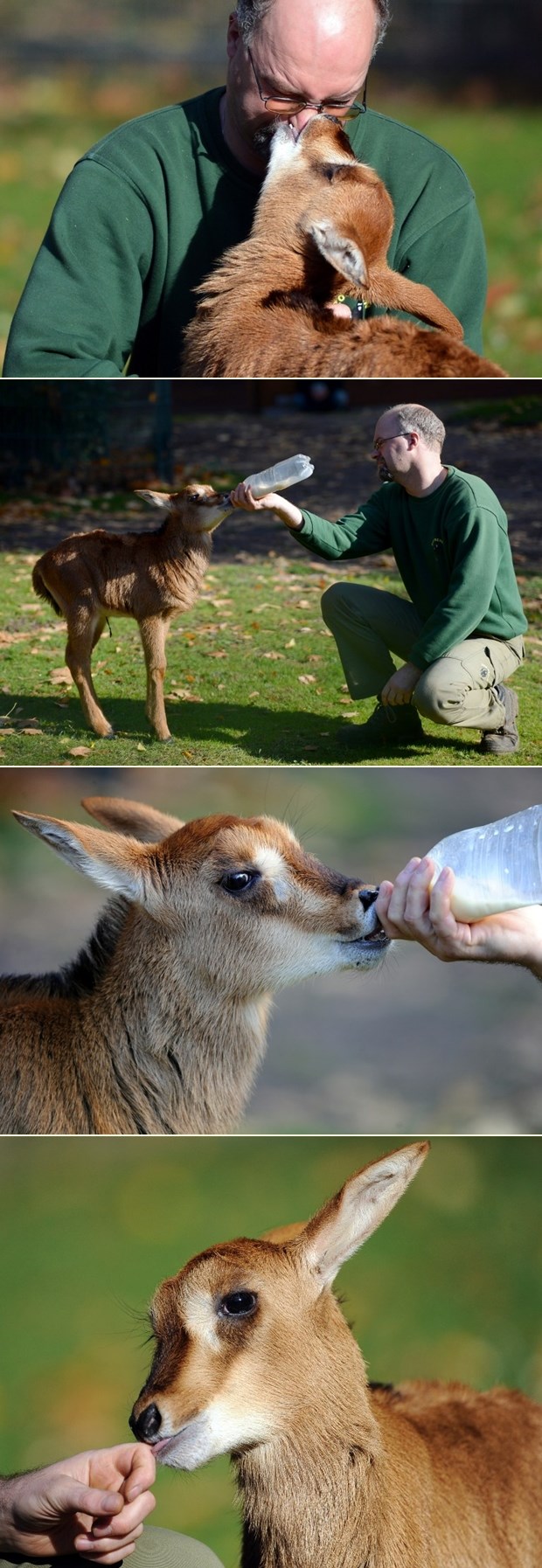 Evo ti pusa jer me hraniš i voliš i brineš o meni...