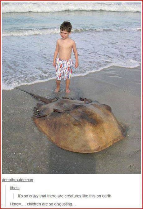 Čudna bića žive na Zemlji