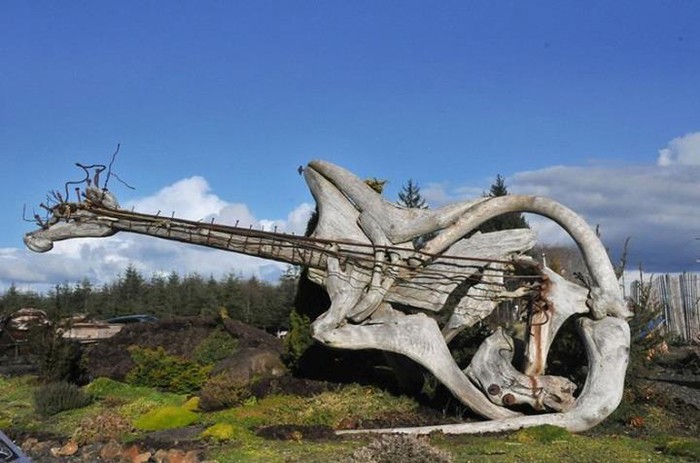 Zvuk prirode: Fenomenalna gitara od naplavljenog drveta