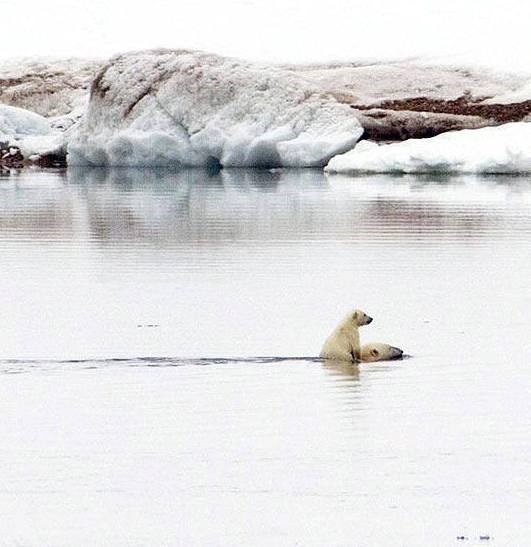 Mama fura svog medvjedića