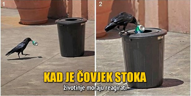 Čovjek prisvaja cijeli planet, a najmanje za njega brine