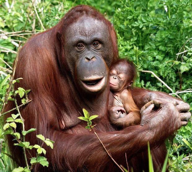 Ponosna mama pozirala za obiteljsku fotku s bebicom