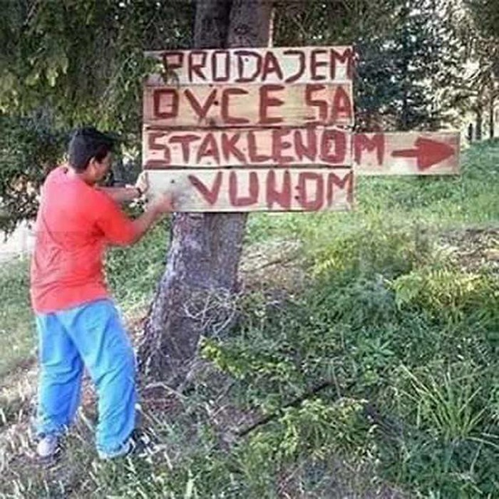 Poduzetnik godine